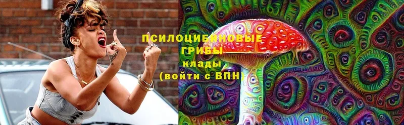 ОМГ ОМГ маркетплейс  дарк нет какой сайт  Псилоцибиновые грибы Magic Shrooms  Высоцк 